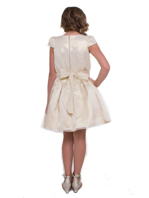 Petite Adele Little Girls Yellow Jacquard Organza Flower Girl Dress 2-6 - SophiasStyle.com